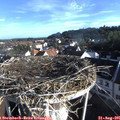 07_55-nest.jpg