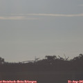 08_00-mast.jpg
