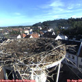 08_00-nest.jpg