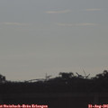 08_05-mast.jpg