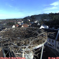 08_05-nest.jpg