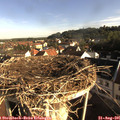 08_10-nest.jpg