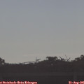 08_30-mast.jpg