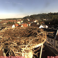 08_30-nest.jpg