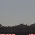 08_50-mast.jpg