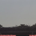09_05-mast.jpg