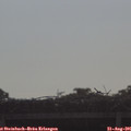 09_10-mast.jpg