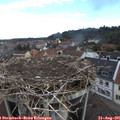 09_25-nest.jpg