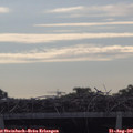 09_30-mast.jpg