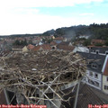 09_30-nest.jpg
