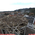 09_35-nest.jpg