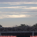 09_40-mast.jpg