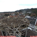 09_40-nest.jpg