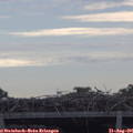 09_45-mast.jpg