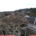 09_45-nest.jpg