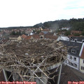 10_00-nest.jpg