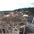 10_05-nest.jpg