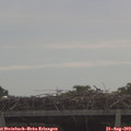 10_10-mast.jpg