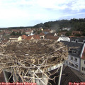 10_10-nest.jpg