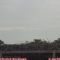 10_15-mast.jpg