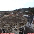 10_15-nest.jpg