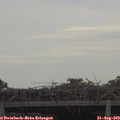 10_20-mast.jpg