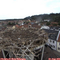 10_20-nest.jpg