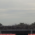 10_25-mast.jpg