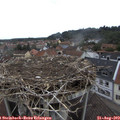 10_25-nest.jpg