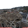 10_30-nest.jpg