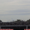 10_35-mast.jpg