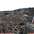 10_35-nest.jpg