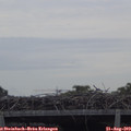 10_45-mast.jpg