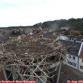 10_45-nest.jpg