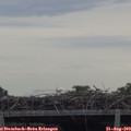 10_55-mast.jpg