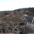 10_55-nest.jpg