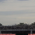 11_00-mast.jpg