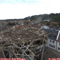 11_00-nest.jpg