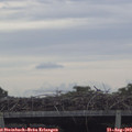 11_10-mast.jpg
