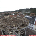 11_25-nest.jpg