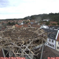 11_30-nest.jpg