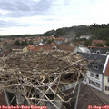 11_35-nest.jpg