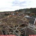 11_40-nest.jpg