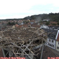 11_45-nest.jpg