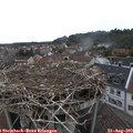 11_50-nest.jpg