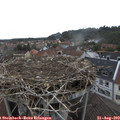 11_55-nest.jpg