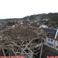 12_15-nest.jpg