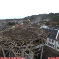 12_40-nest.jpg