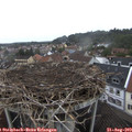 12_50-nest.jpg