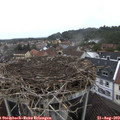 12_55-nest.jpg